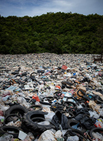извозване на отпадъци Пловдив - 95226 възможности