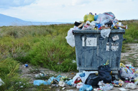 извозване на отпадъци Пловдив - 28845 уникални